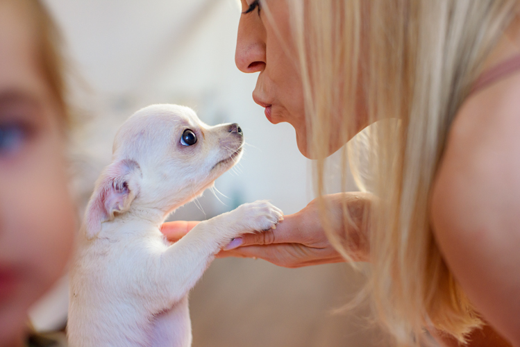 What is a veterinary passport, and why do I need one?